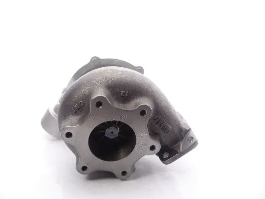 Charger, charging (supercharged/turbocharged) (466214-5030S)