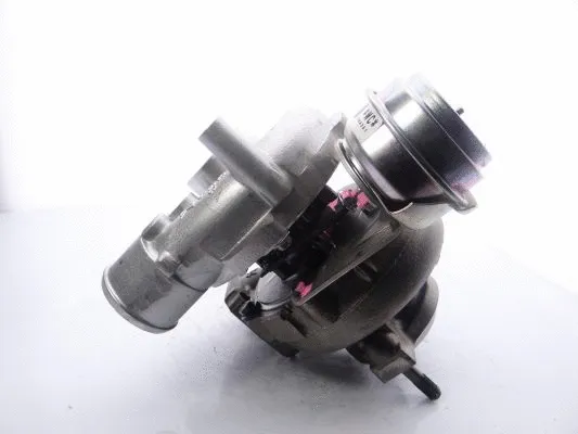 Charger, charging (supercharged/turbocharged) (704361-5010S)