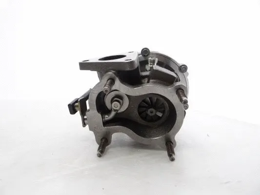 Charger, charging (supercharged/turbocharged) (701729-5010S)