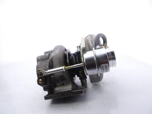 Charger, charging (supercharged/turbocharged) (466974-5009S)