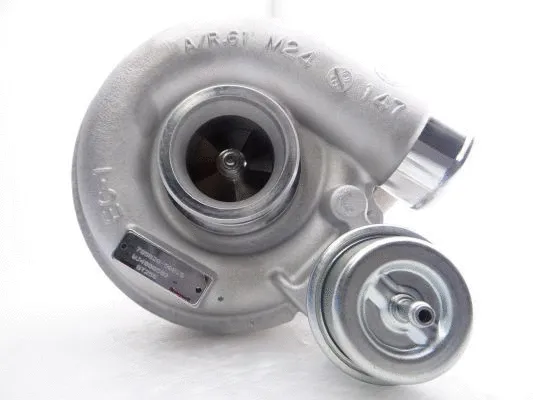 Charger, charging (supercharged/turbocharged)