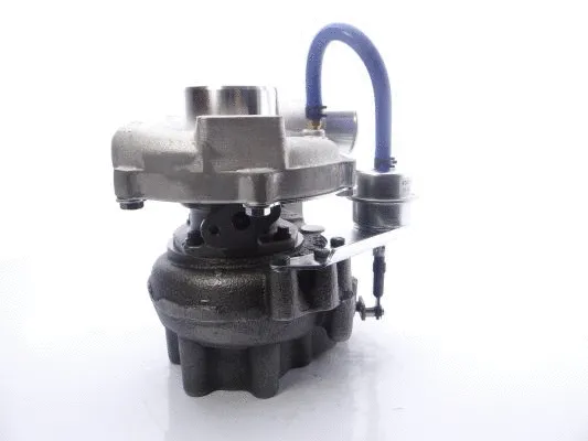 Charger, charging (supercharged/turbocharged)