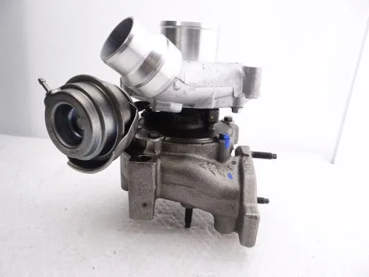 Charger, charging (supercharged/turbocharged)