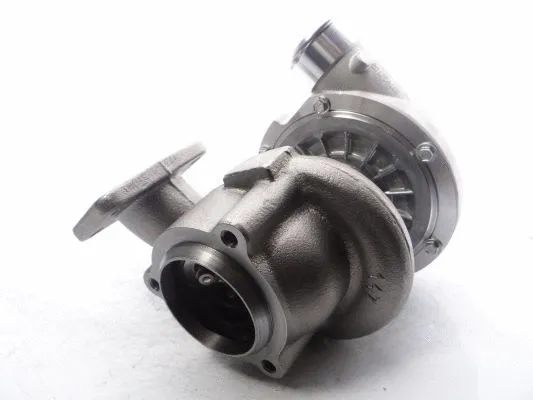 Charger, charging (supercharged/turbocharged) (711736-5051S)