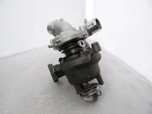 Charger, charging (supercharged/turbocharged) (707240-5004S)