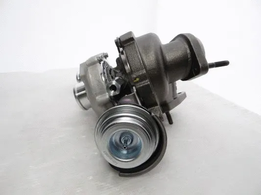 Charger, charging (supercharged/turbocharged)