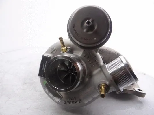 Charger, charging (supercharged/turbocharged)