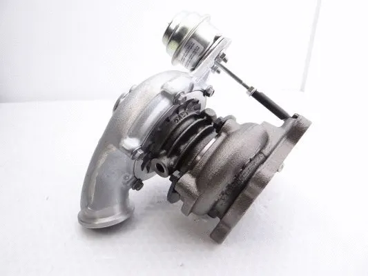 Charger, charging (supercharged/turbocharged) (454216-5003S)