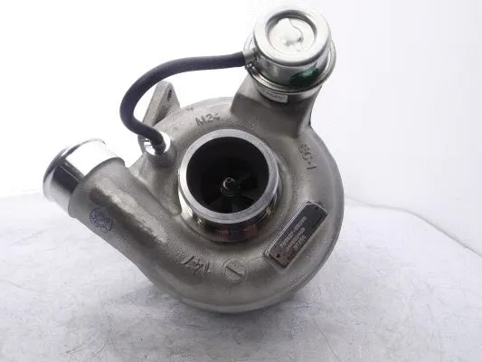 Charger, charging (supercharged/turbocharged)