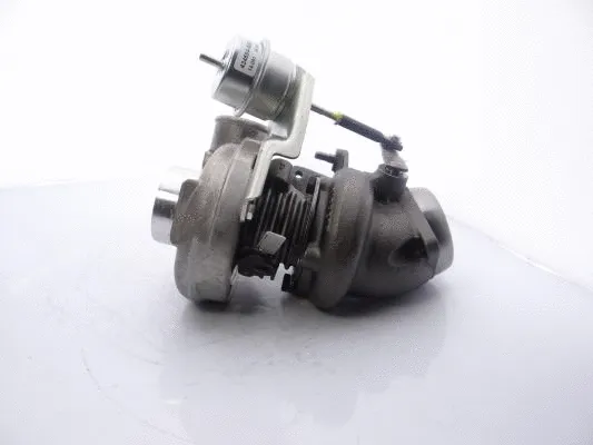 Charger, charging (supercharged/turbocharged) (454127-5002S)
