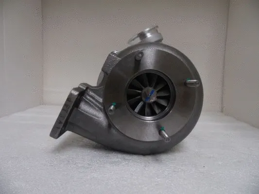 Charger, charging (supercharged/turbocharged)