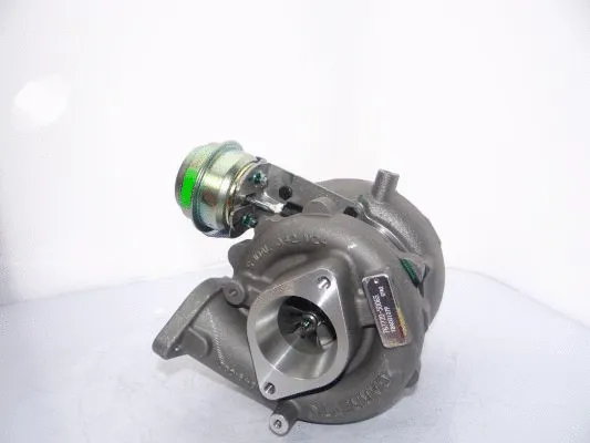 Charger, charging (supercharged/turbocharged) (767720-5006S)