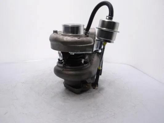 Charger, charging (supercharged/turbocharged)