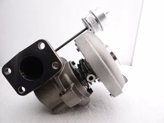 Charger, charging (supercharged/turbocharged) (785828-5004S)