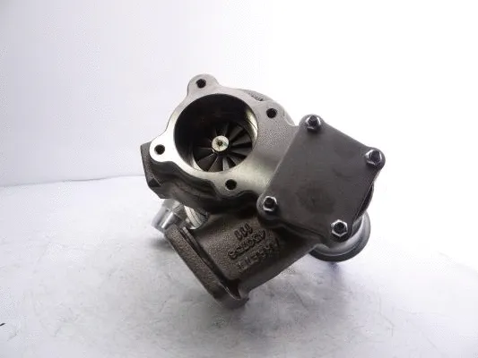 Charger, charging (supercharged/turbocharged) (466088-5001S)