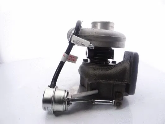 Charger, charging (supercharged/turbocharged)