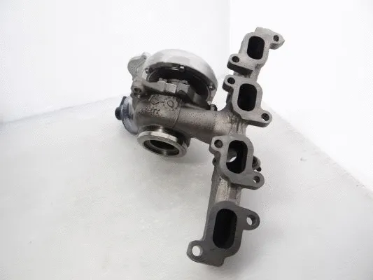 Charger, charging (supercharged/turbocharged)