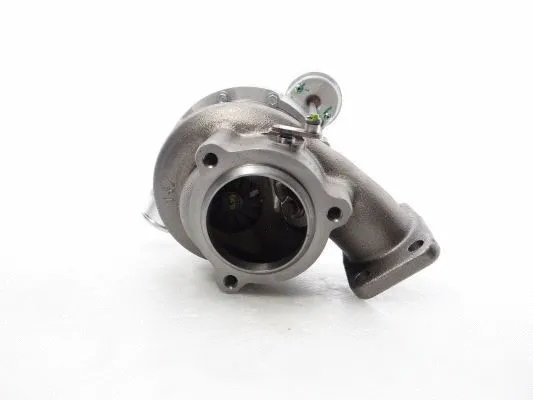 Charger, charging (supercharged/turbocharged) (785828-5005S)