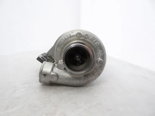 Charger, charging (supercharged/turbocharged)