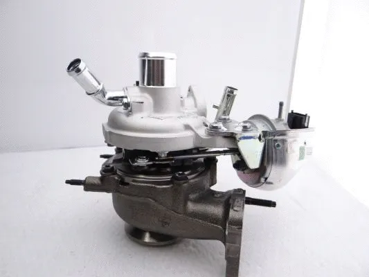 Charger, charging (supercharged/turbocharged)