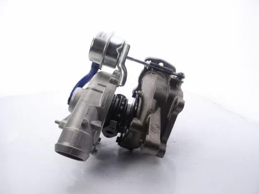 Charger, charging (supercharged/turbocharged)