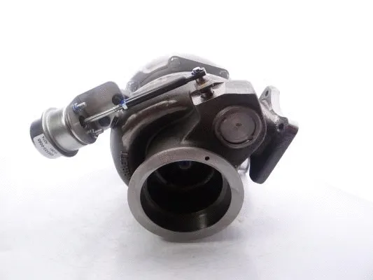 Charger, charging (supercharged/turbocharged) (739542-5003S)