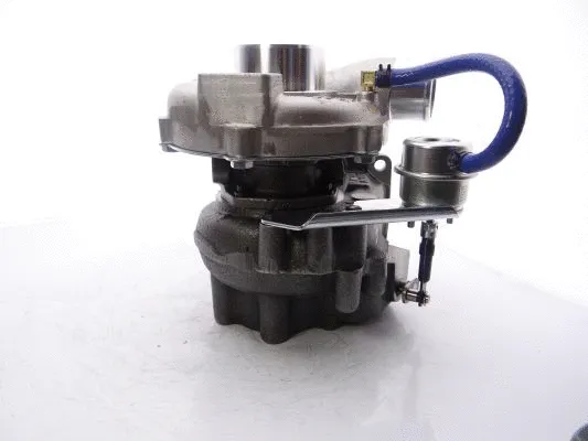 Charger, charging (supercharged/turbocharged)