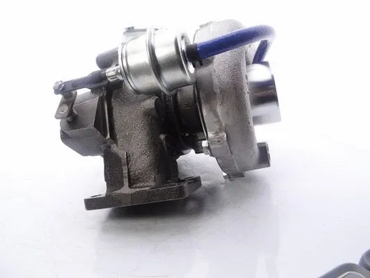 Charger, charging (supercharged/turbocharged)