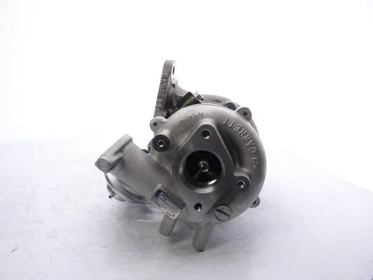 Charger, charging (supercharged/turbocharged) (750441-5005S)