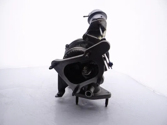 Charger, charging (supercharged/turbocharged)