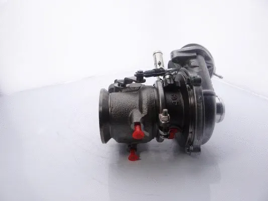 Charger, charging (supercharged/turbocharged)