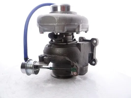 Charger, charging (supercharged/turbocharged)