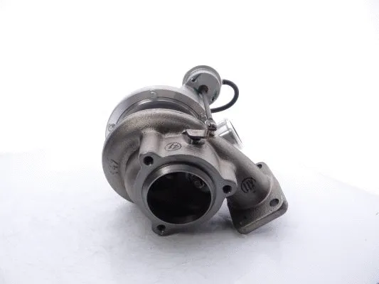 Charger, charging (supercharged/turbocharged) (711736-5029S)