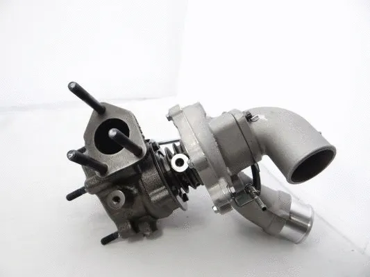 Charger, charging (supercharged/turbocharged)