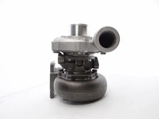 Charger, charging (supercharged/turbocharged) (466698-5004S)