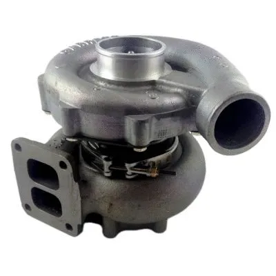 Charger, charging (supercharged/turbocharged) (466950-5004S)