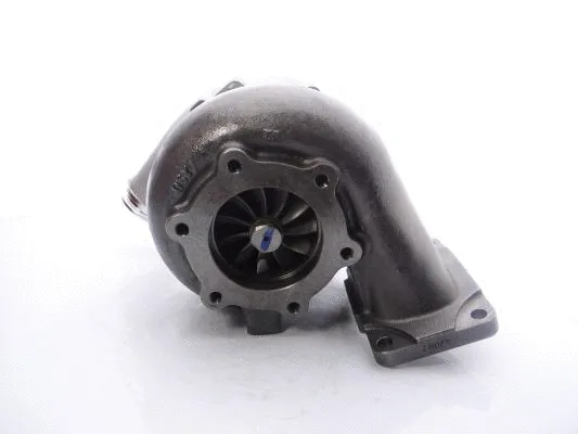 Charger, charging (supercharged/turbocharged) (466076-5029S)