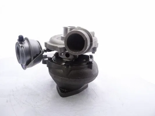 Charger, charging (supercharged/turbocharged)