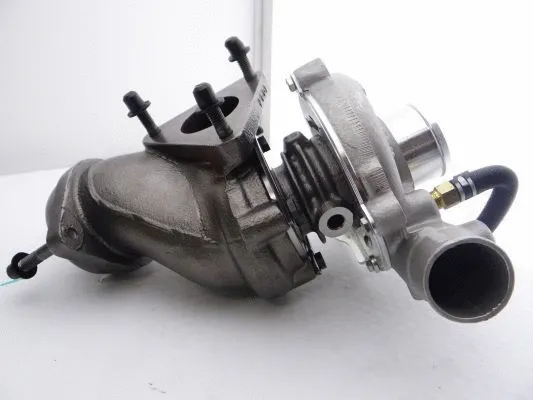 Charger, charging (supercharged/turbocharged)