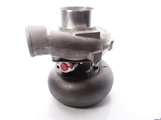 Charger, charging (supercharged/turbocharged)