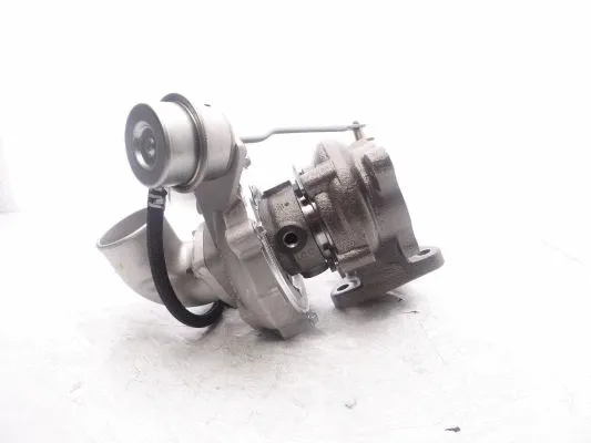 Charger, charging (supercharged/turbocharged)