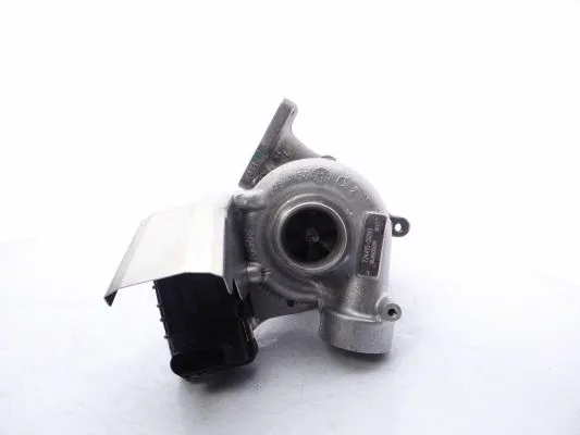 Charger, charging (supercharged/turbocharged) (724495-5004S)