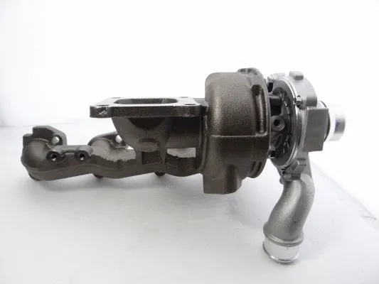 Charger, charging (supercharged/turbocharged)