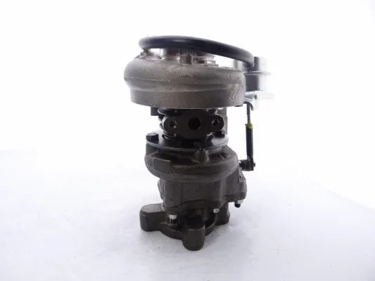 Charger, charging (supercharged/turbocharged)