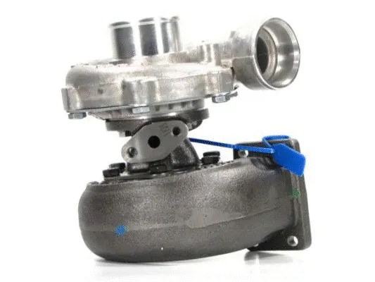 Charger, charging (supercharged/turbocharged) (466192-5013S)