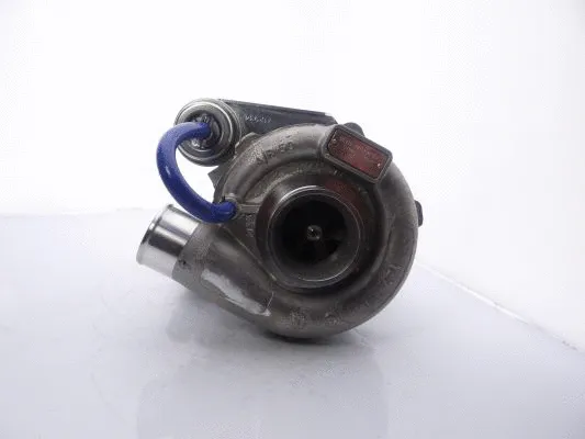 Charger, charging (supercharged/turbocharged)