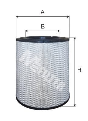 Air Filter (A 8098)