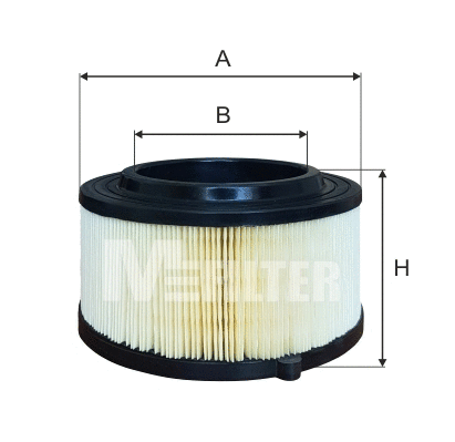 Air Filter (A 8096)