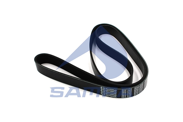 V-Ribbed Belt (203.345)