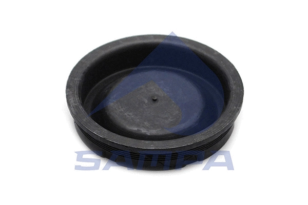 Cover, brake caliper (096.036)